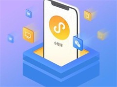 成都软件开发公司