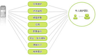 网站建设与SCM软件系统 定制开发与模板套用的选择分析