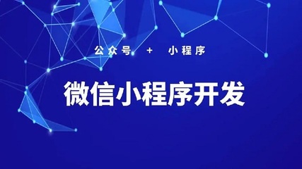 定制开发小程序的优势 精准满足企业多元需求