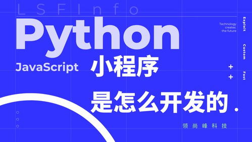 定制您的数字门户 小程序定制开发流程详解