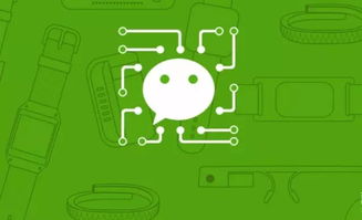 小程序如何吸引客户 以SCM软件系统定制开发为例