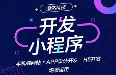 企业定制网站建设,小程序开发,微信开发